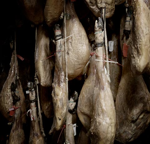 Imagen de jamones ib&eacute;ricos colgados en un secadero - Jamones y Embutidos Ib&eacute;ricos de Salamanca Online