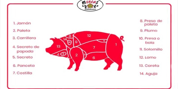 Los diferentes cortes del cerdo